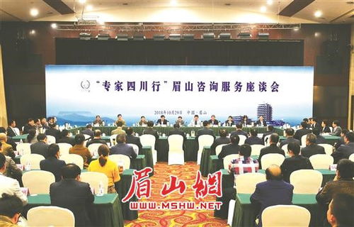 专家四川行 眉山咨询服务座谈会成功举行，共绘发展新蓝图
