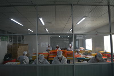 艾尔时手表代工装备一览
